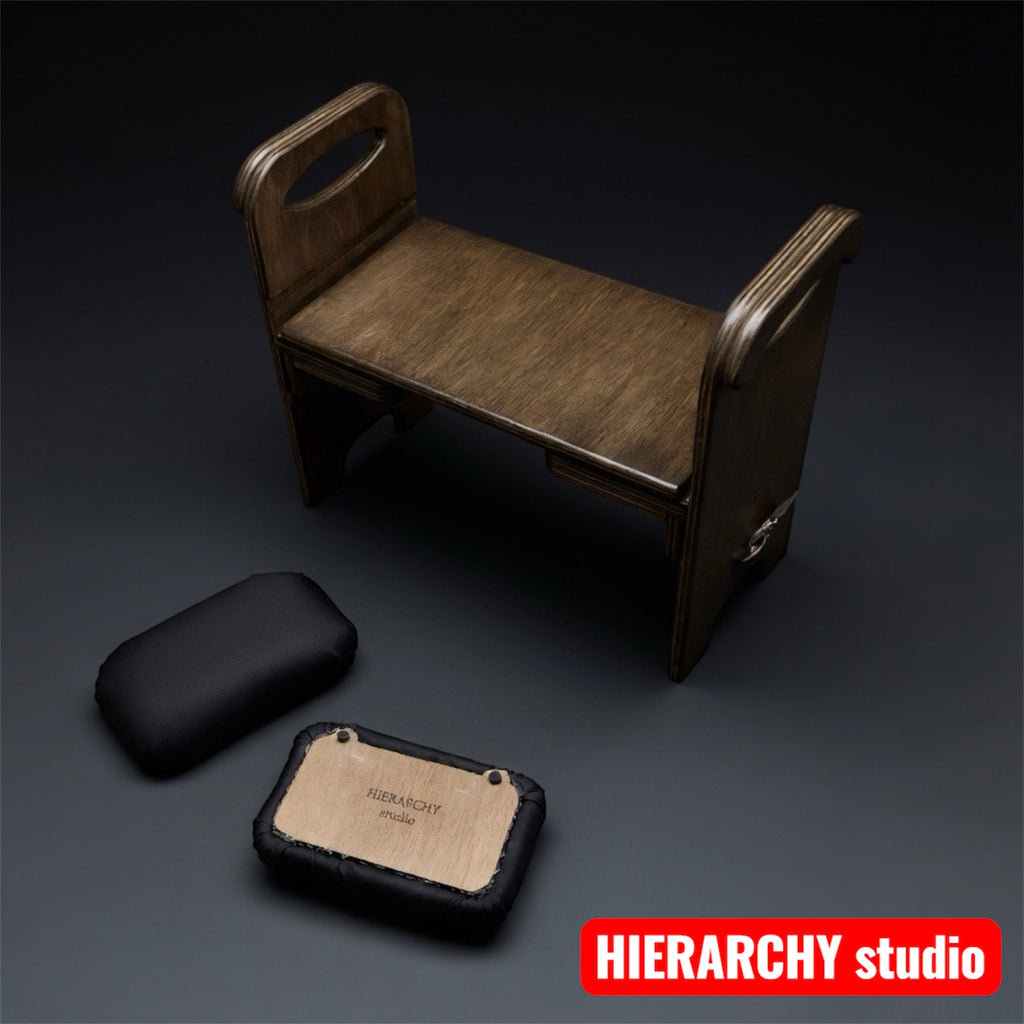 Comfort Version Chair | Removable Top Panel | Adjustable Height |  21.6 in (55 cm)